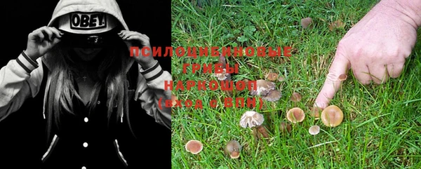 дистиллят марихуана Бородино