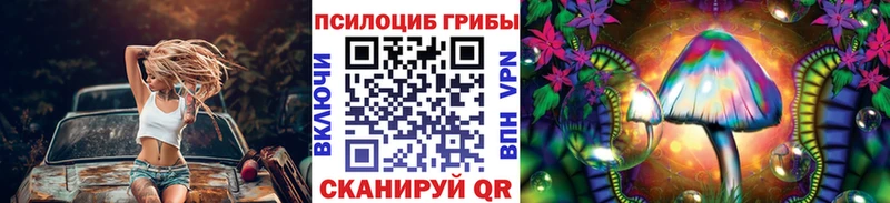 Псилоцибиновые грибы MAGIC MUSHROOMS  hydra как войти  Каменск-Уральский 